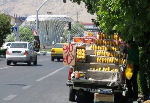 تعیین مکان مشخص برای ساماندهی وانت‌بارهای پایتخت/ تا پایان آبان ونک از بساط‌گستران پاکسازی می‌شود