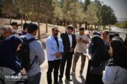 کاشت حدود ۲۰ هزار اصله درخت در چیتگر طی یک سال اخیر/ عدم آب‌دهی مناسب در ده سال گذشته موجب بروز مشکل در درختان شده است