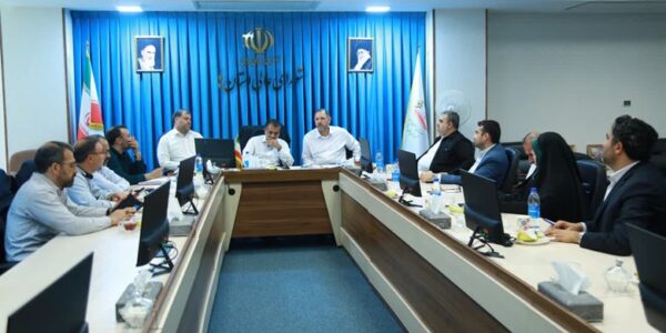 نشست جمعی از نمایندگان مجلس شورای اسلامی با رئیس شورای عالی استان‌ها