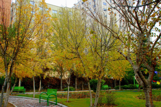 بوستان ملل در منطقه ۳ افتتاح شد