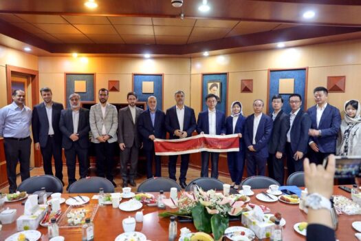 نشست مشترک معاون دبیرکل دولت محلی شانگهای با معاون شهردار تهران