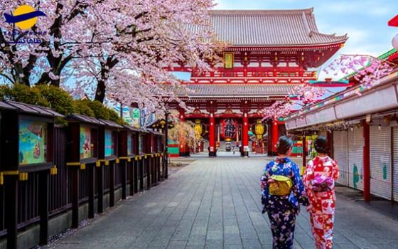 راهکار هتل‌های ژاپن برای جذب گردشگر در ایام کرونا