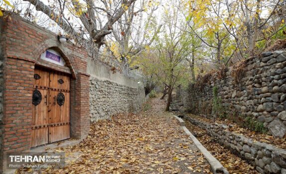 تملک باغات جدید در پایتخت برای ساخت بوستان/ احداث بوستان بالغ بر ۲.۲ هکتاری محله علی‌آباد جنوبی در مرحله اجرا