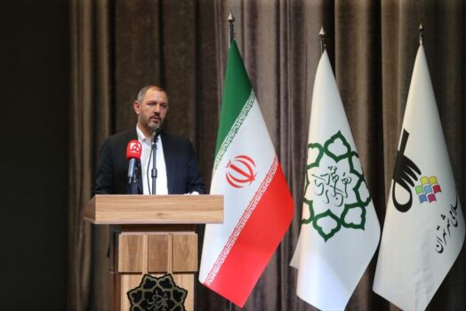 قانون به شورای عالی استانها اختیار نظارت بر وزارت‌خانه‌ها را داده در حالی که اکنون فرمانداری‌ها بر ما نظارت می‌کنند