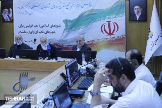 شورای نظارت بر انتخابات نمیتواند برای اداره داخلی شوراها قانون تعیین کند