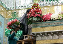 گل‌های ضریح منور رضوی در روز ولادت امام رضا(ع) تعویض شد+عکس