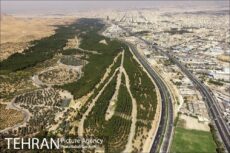 جزییات شکل و شمایل جدید بوستان سرخه‌حصار
