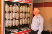 کمبود مرغ در مشهد!/قیمت مرغ درب مرغ‌داری کیلویی ۳۰ هزارتومان است