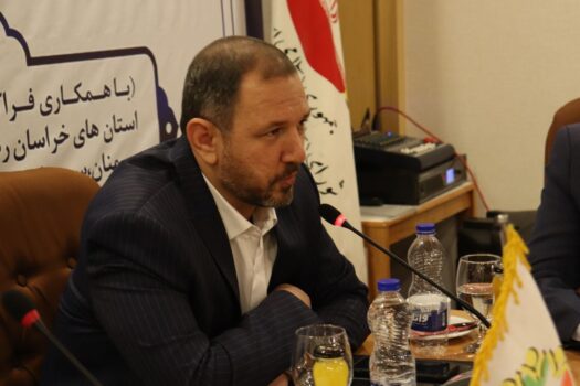 قانون درآمدهای پایدار نیازمند اصلاح است