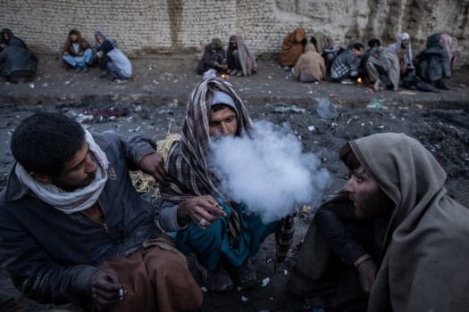 طالبان در تجارت مواد مخدر به جایگزینی سریع‌تر و سودآورتر روی آورده اند