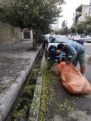 اجرای طرح ویژه نظافت پاییزی در معابر شهری مشهد/ تاکنون ۷۰ تن برگ پاییزی جمع‌آوری شده است