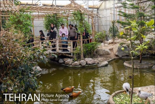 اعلام بهای بلیط بازدید از باغ پرندگان در سال ۱۴۰۴