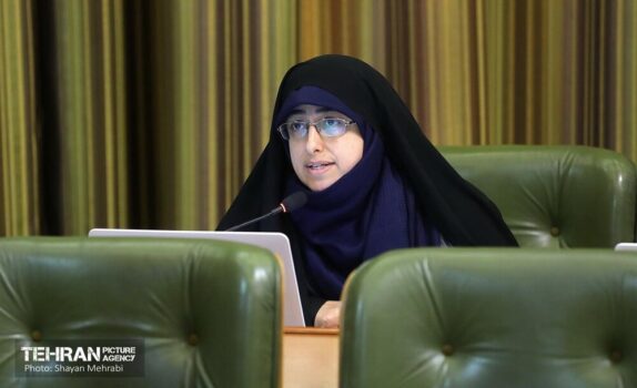 هرگونه قطعی آب تهدیدی مستقیم علیه دارایی‌های زیست محیطی تهران است