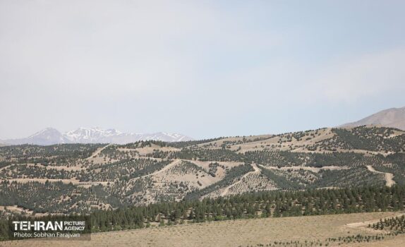 کمربند سبز پایتخت پس از حدود ۳۰ سال تکمیل شد