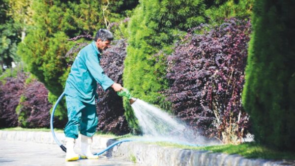 اجرای شیوه‌نامه جدید برای کاهش مصرف انرژی در بوستان‌های پایتخت