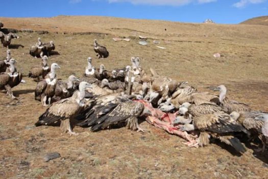 ۱۰ روش عجیب برای تدفین مردگان