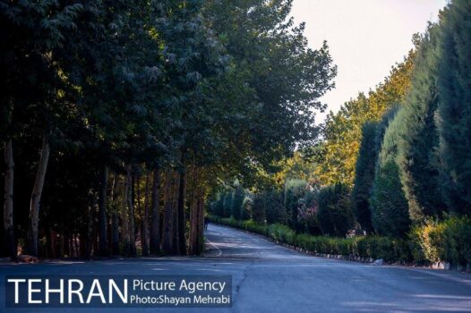 احداث بوستان‌های جدید در مناطق جنوبی و کم‌برخوردار تهران