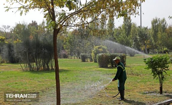 تدوین طرح جامع آب خام به کجا رسید؟