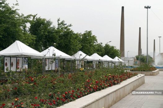 موزه گل محمدی؛ جاذبه جدید برای ساکنان مناطق جنوبی تهران