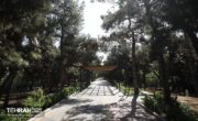 ساخت بوستان شهدای دانش‌آموز میناب به کجا رسید؟