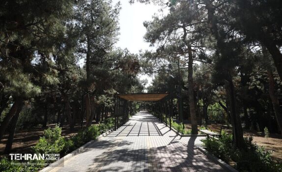 ساخت بوستان شهدای دانش‌آموز میناب به کجا رسید؟