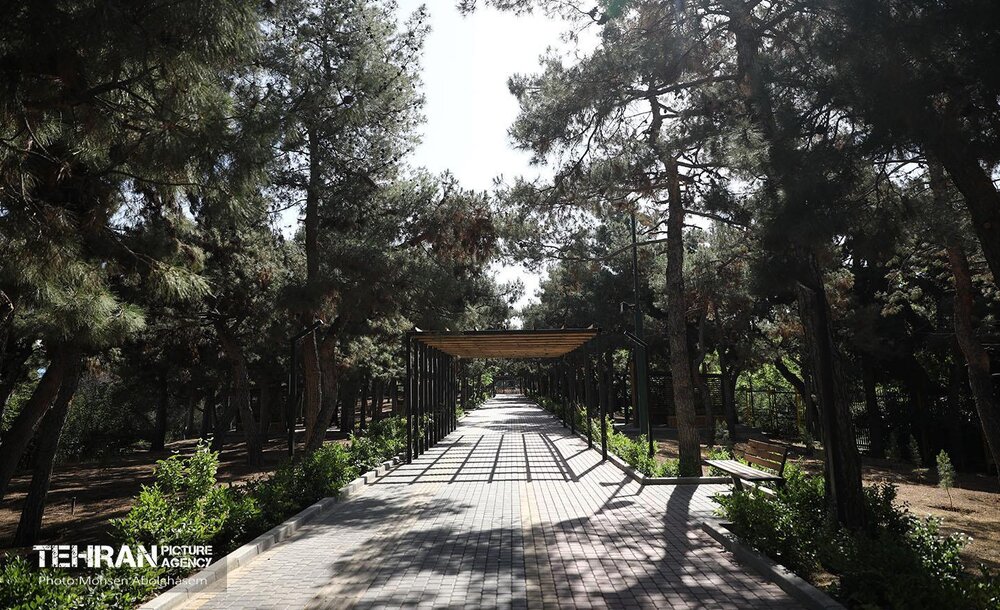 ساخت بوستان شهدای دانش‌آموز میناب به کجا رسید؟