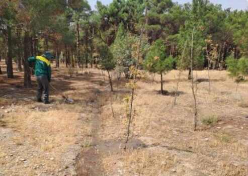 وزارت نیرو برای تحویل فاضلاب خام، ارقام نجومی میخواهد/ برای آبیاری فضای سبز تقاضای پساب کردیم اما قرارداد بسیار سنگینی جلوی ما گذاشتند