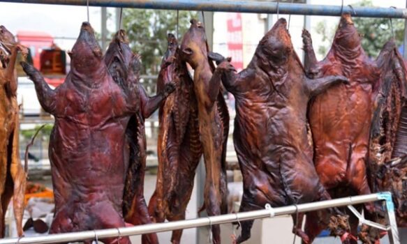فروش حیوانات وحشی زنده را در بازارهای مواد غذایی متوقف کنید